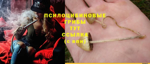 PSILOCYBIN Зеленодольск