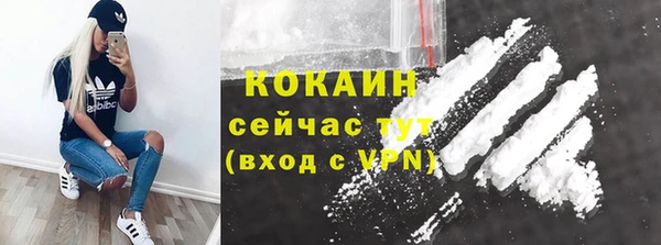 стафф Зеленокумск
