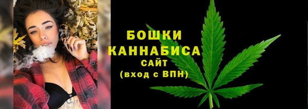 стафф Зеленокумск
