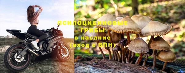 PSILOCYBIN Зеленодольск