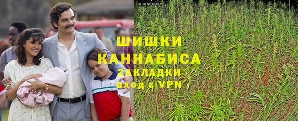 стафф Зеленокумск
