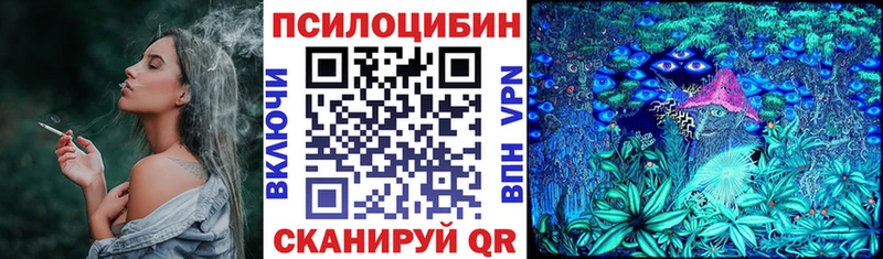 Купить закладки Верхняя Пышма Псилоцибиновые грибы Cubensis